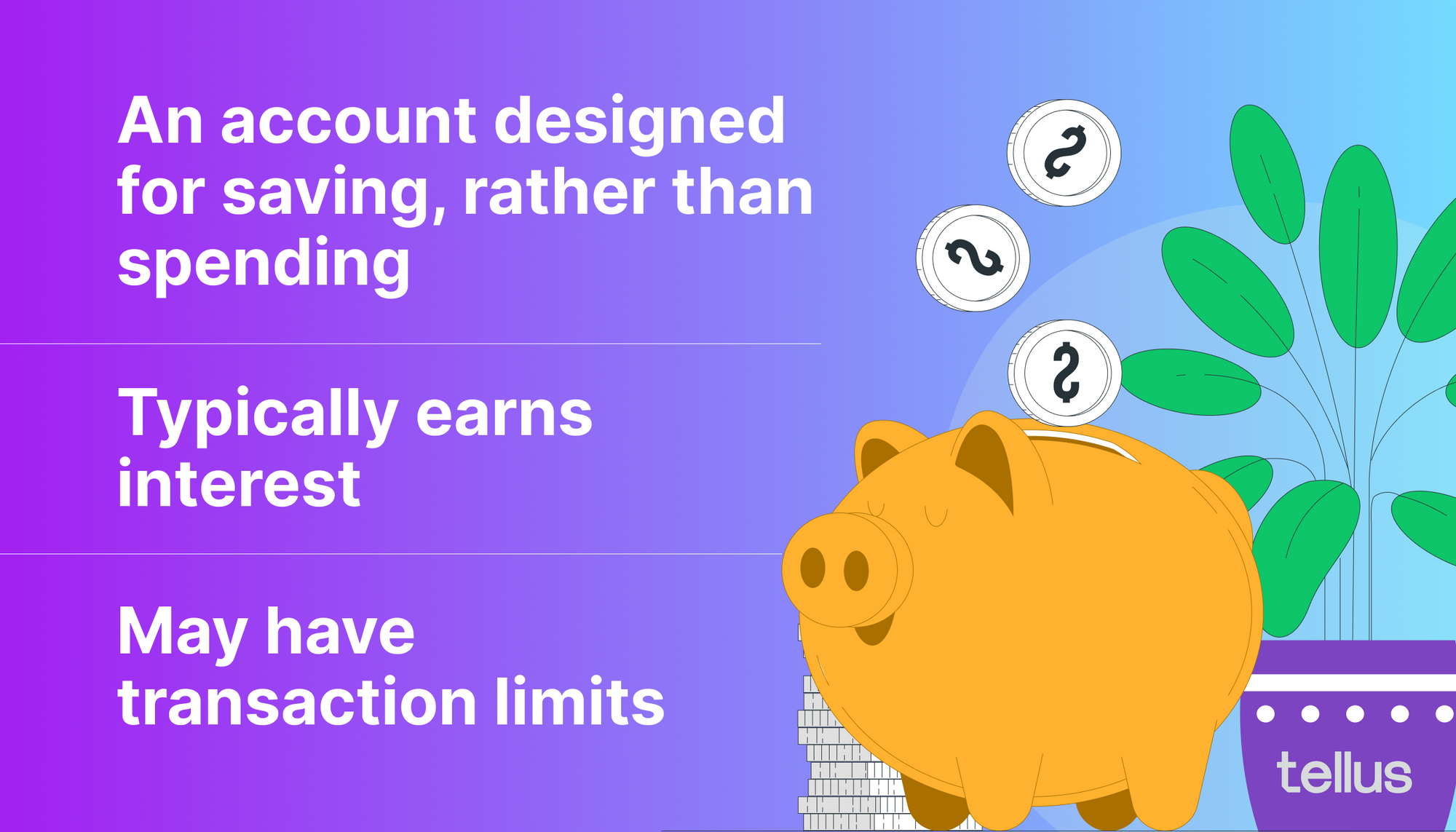 What are savings accounts